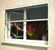 Thumbnail Fliegengitter Rollo für Fenster 